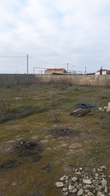 Satılır Torpaq, Sabunçu.r, Albalı, Koroğlu.m-10