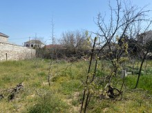 Satılır Torpaq, Xəzər.r, Mərdəkan, Koroğlu.m-4