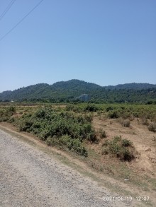 Satılır Torpaq, Lənkəran.ş-4