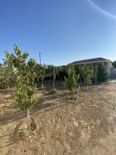 Satılır Həyət evi, Sabunçu.r, Albalı-11