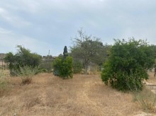Satılır Torpaq, Xəzər.r, Şüvəlan, Koroğlu.m-4