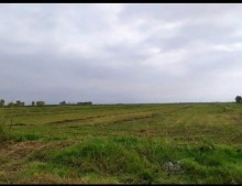 Satılır Torpaq, Xəzər.r, Zirə-1