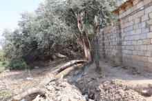Satılır Həyət evi, Sumqayıt.ş-9
