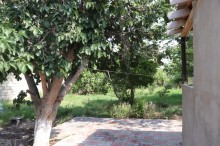 Satılır Həyət evi, Sumqayıt.ş-15