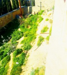 Satılır Torpaq, Səbail.r, Badamdar-4