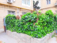 Satılır Köhnə Tikili, Səbail.r, Badamdar-15