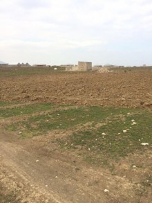 Satılır Torpaq, Sabunçu.r, Maştağa-5