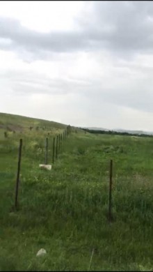 Satılır Torpaq, Şamaxı.ş-1