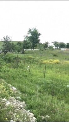 Satılır Torpaq, Şamaxı.ş-6