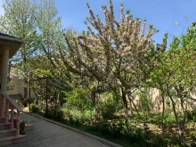 Satılır Həyət evi, Binəqədi.r, Binəqədi, Nəsimi.m-10