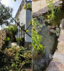 Kirayə (Aylıq) Villa, Sabunçu.r, Bilgəh-1