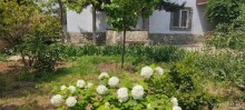 Kirayə (Aylıq) Villa, Sabunçu.r, Bilgəh-4