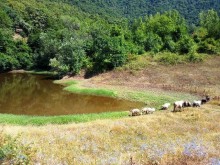 Satılır Torpaq, Qəbələ.ş-2