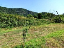Satılır Torpaq, Qəbələ.ş-4