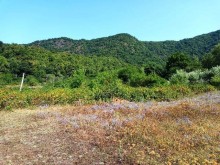 Satılır Torpaq, Qəbələ.ş-10