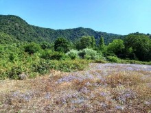 Satılır Torpaq, Qəbələ.ş-14