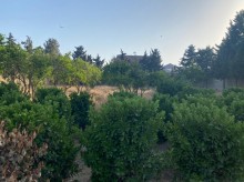 Satılır Torpaq, Xəzər.r, Mərdəkan, Koroğlu.m-7