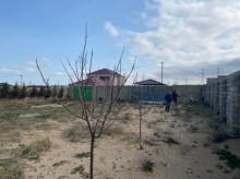 Satılır Torpaq, Xəzər.r, Şüvəlan, Koroğlu.m-3