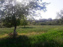 Satılır Torpaq, Qəbələ.ş-2