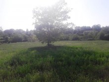 Satılır Torpaq, Qəbələ.ş-13