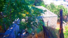 Satılır Torpaq, Səbail.r, Badamdar-5