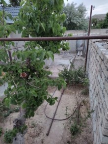 Satılır Həyət evi, Xəzər.r, Şüvəlan, Koroğlu.m-12