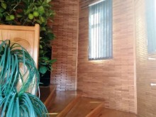 Satılır Həyət evi, Qəbələ.ş-5