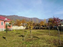 Satılır Həyət evi, Qəbələ.ş-14