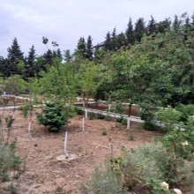 Satılır Villa, Abşeron.r, Novxanı-4