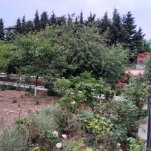 Satılır Villa, Abşeron.r, Novxanı-16
