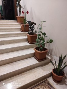 Satılır Həyət evi, Abşeron.r, Masazır, Avtovağzal.m-3