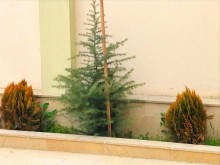 Satılır Həyət evi, Səbail.r, Badamdar-19