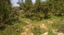 Satılır Torpaq, Sabunçu.r, Bakıxanov, Neftçilər.m-1