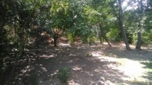 Satılır Torpaq, Sabunçu.r, Bakıxanov, Neftçilər.m-6