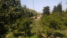 Satılır Torpaq, Sabunçu.r, Bakıxanov, Neftçilər.m-9