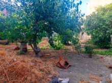 Satılır Torpaq, Səbail.r, Badamdar-4