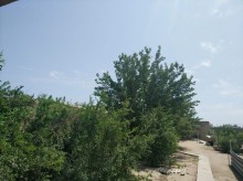 Satılır Həyət evi, Abşeron.r, Novxanı-8