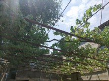 Satılır Həyət evi, Abşeron.r, Novxanı-10