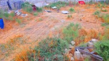 Satılır Torpaq, Səbail.r, Badamdar-2