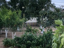 qalada hovuzlu bag evi satisi, -2