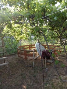 Satılır Həyət evi, Abşeron.r-2