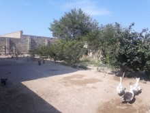 şüvəlan satilan heyet evleri, -4