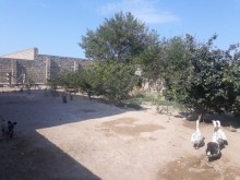 şüvəlan satilan heyet evleri, -7