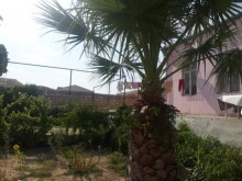 şüvəlan satilan heyet evleri, -11