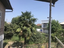 Satılır Torpaq, Lənkəran.ş-1