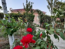 Satılır Həyət evi, Xəzər.r, Qala, Koroğlu.m-1