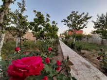 Satılır Həyət evi, Xəzər.r, Qala, Koroğlu.m-13