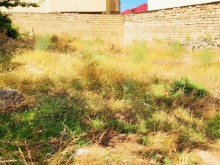 Satılır Torpaq, Səbail.r, Badamdar, Elmlər Akademiyası.m-3