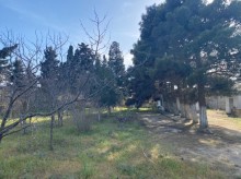 Satılır Torpaq, Xəzər.r, Mərdəkan, Koroğlu.m-7