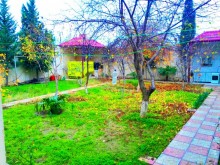 bineqedi  ev satışı, -20